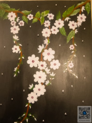 Cherry Blossoms